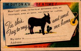Vintage Linen Postcard Tie This To My Ass Donkey & Send Me Home Drunk Humor 20s