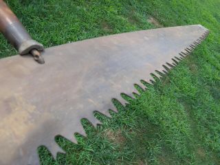 Vintage Crosscut One Man Hand Saw Warranted Superior Rare 3 ' Lumber Jack Tool NR 4