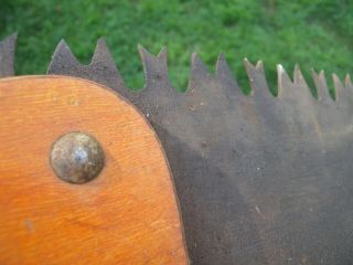 Vintage Crosscut One Man Hand Saw Warranted Superior Rare 3 ' Lumber Jack Tool NR 8