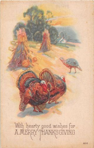 1924 Art Deco Thanksgiving Pc Of Turkeys In Field Of Corn Shocks & Pumpkins - 606