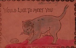 Would Like To Meet You Cat & Mouse Vintage Leather Postcard