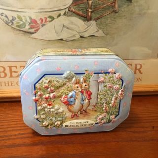 The World Of Beatrix Potter Peter Rabbit & Friends Medium Tin Hexagon Box W/lid