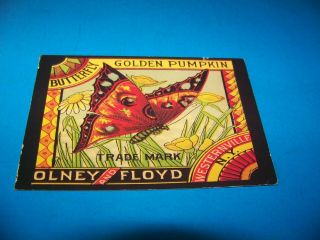Butterfly Golden Pumpkin Olney And Floyd Westernville N.  Y.  Vintage Postcard 1996