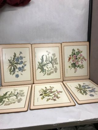 6 Pc Vintage Pimpernel Traditional Placemats Botanical Cork Back Wild Flowers