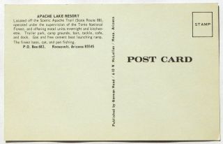 Apache Lake Resort,  Roosevelt,  Arizona Postcard A849 2
