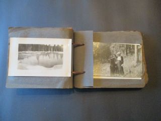 EARLY 1900 ' S PHOTO ALBUM: YELLOWSTONE LAKE / PARK.  BEARS / LODGE / MORE 4