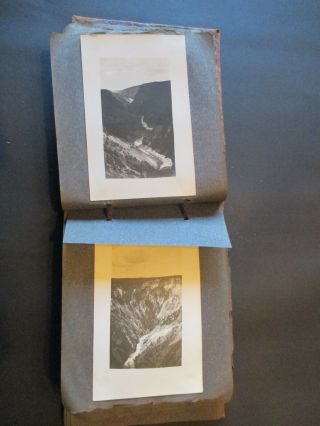 EARLY 1900 ' S PHOTO ALBUM: YELLOWSTONE LAKE / PARK.  BEARS / LODGE / MORE 7