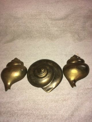 Vintage Three Thick Brass Sea Shell Wall Art Decorations