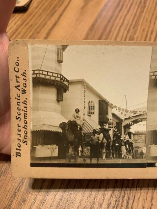 Camel Parade Cairo Lewis & Clark Exposition Portland Oregon Stereoview Blosser 2