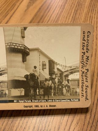 Camel Parade Cairo Lewis & Clark Exposition Portland Oregon Stereoview Blosser 3