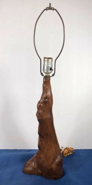 Cypress Wood Knee Florida Folk Art Hobo Craft Table Lamp Mid Century Modern 25 " T