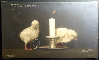 Postcard Rppc Real Photo Good Night Chicks Candle Rotograph Co.  1906