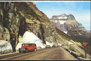 Sightseeing Bus Glacier National Park Montana Mt Going To Sun Road Postcard E12