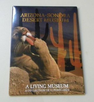 Arizona - Sonora Desert Living Museum Tucson Arizona Postcards Pack Of 12