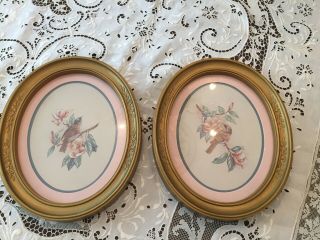 Vintage Homco Bird Prints In Gold Oval Frames With Glass - Wall Decor