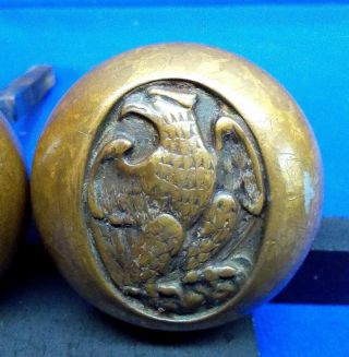 1800s American Eagle Solid Brass Doorknobs,  INA Fire Mark 3