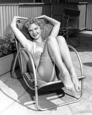 Actress Anne Francis Pin Up - 8x10 Publicity Photo (bt246)
