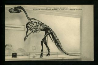 Animal Postcard Dinosaur Duck Billed Museum Of Geology Rapid City,  South Dakota