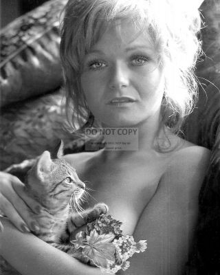 Actress Valerie Perrine Pin Up - 8x10 Publicity Photo (dd262)