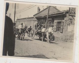 T) Photo 11x8cm North China Trip 1925? Minghong B