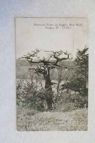 C307 Vintage Postcard View Scene Oregon Il Illinois Eagles Nest Bluff Cedar