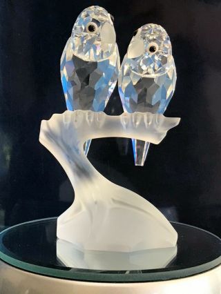 Swarovski Scs Lovebirds With Lighted Rotating Mirror Display
