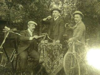Cabinet Card Photo 3 Men With Bicycles Drinking Beer In The Park