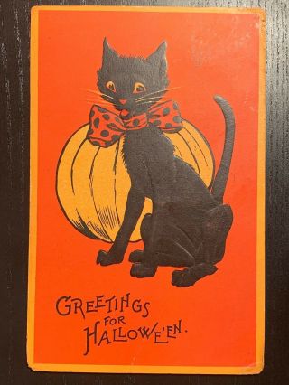 1910s Sam Gabriel Halloween Greeting Postcard - Black Cat With Pumpkin - Unposted