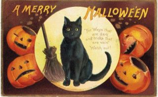 Clapsaddle Halloween Black Cat Laughing Jol 1909