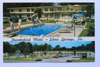 31c Postcard Thunderbird Motel,  Silver Springs,  Florida