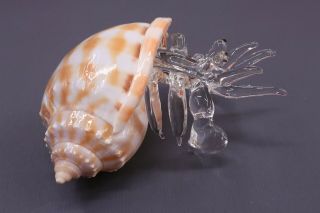 Hermit Crab & Phalium Shell 10/13 Cm - Handmade Crystal Glass Animal Figurine