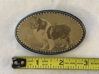 Rare Antique Photo Collie Dog Pin Back Button