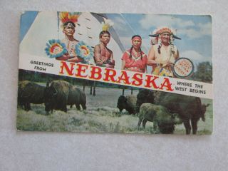 A424 Vintage Postcard Greetings From Nebraska Ne Indians Buffalo