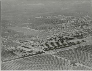 Sunnyvale: Aerial View - Schuckl & Co.  Canning Company 2 - 1931 8x10 Print
