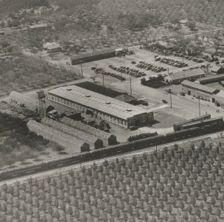Sunnyvale: AERIAL VIEW - SCHUCKL & CO.  CANNING COMPANY 2 - 1931 8x10 Print 2