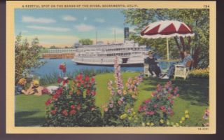 Vintage Linen Postcard -.  On The Banks Of The River,  Sacramento,  California