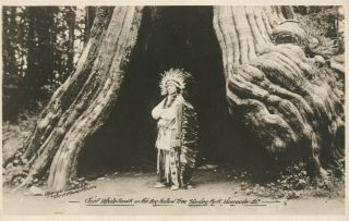 American Indian Chief White Hawk Canada Antique Real Photo Postcard Rppc