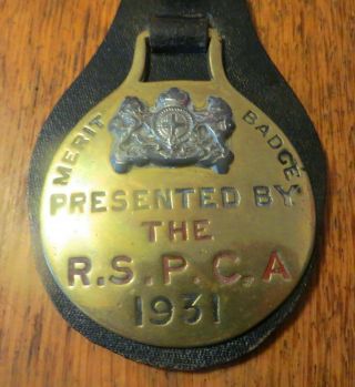 Rare R S P C A Merit Badge Horse Brass From 1931