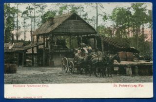 Southern Turpentine Still St Petersburg Florida Fl Undivided Back Postcard
