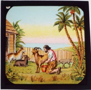 Robinson Crusoe - Antique Box Set of 8 Magic Lantern Slides - Primus 2