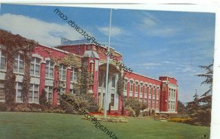 California,  San Mateo High School 1950 