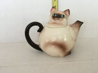 Vintage Cat Teapot,  Siamese With Bright Blue Eyes.  Tm 50 Is Stamped On Bottom.