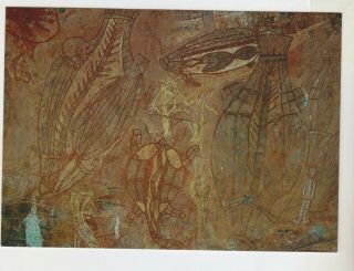 Aboriginal Rock Paintings Obiri Rock Northern Territory Barker Postcard