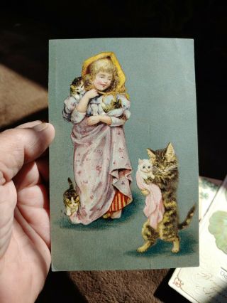 Vintage Early 1900s Postcard With Kittens And Little Girl