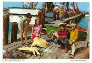 Turtle Kraal - Key West,  Florida - Vintage Postcard