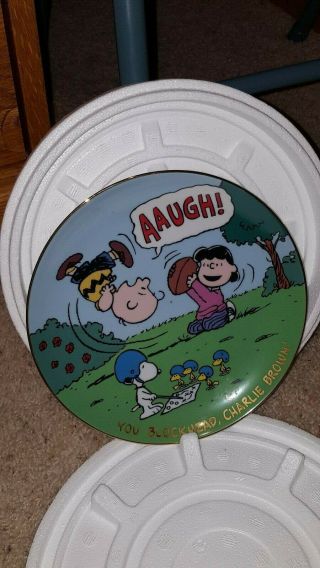 The Danbury You Blockhead Charlie Brown Collectors Plate Peanuts