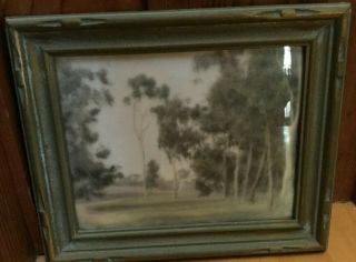 Vintage California Hand Colored Eucalyptus Photograph Carved Frame Arts & Crafts