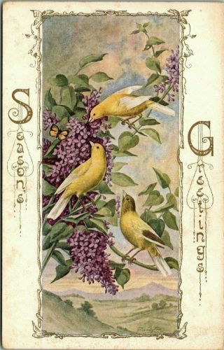 Canary Bird Art Ornithology Seasons Greetings Gilbert 1910 Postcard
