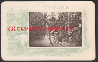 Ceylon - Bullock Cart,  Early Postcard