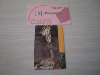 Kembali Australia 150 Units Prepaid Calling Card Giraffe The Kiss 1st Issue